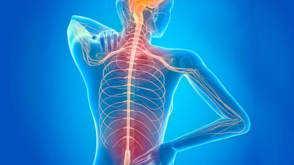 El diagnóstico temprano y el acceso precoz al tratamiento son claves en la EM.