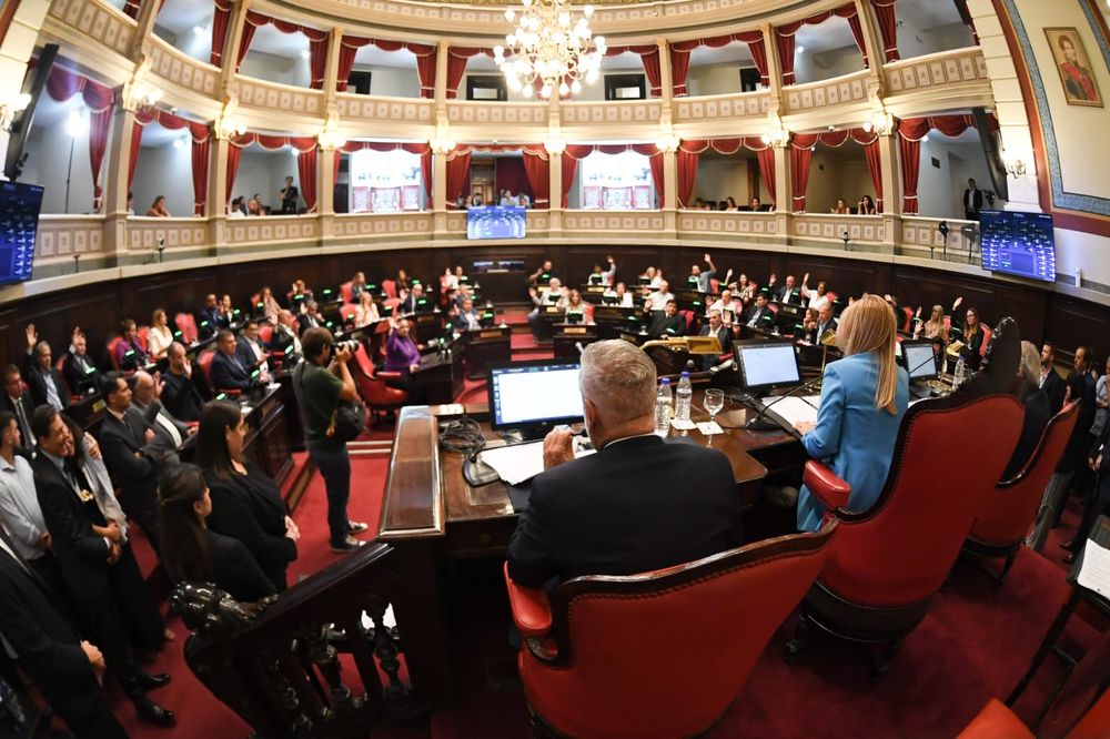 La sesión en el Senado bonaerense.&nbsp;