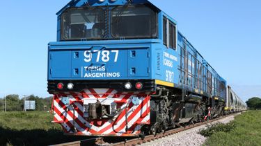 Una formación del Belgrano Cargas.