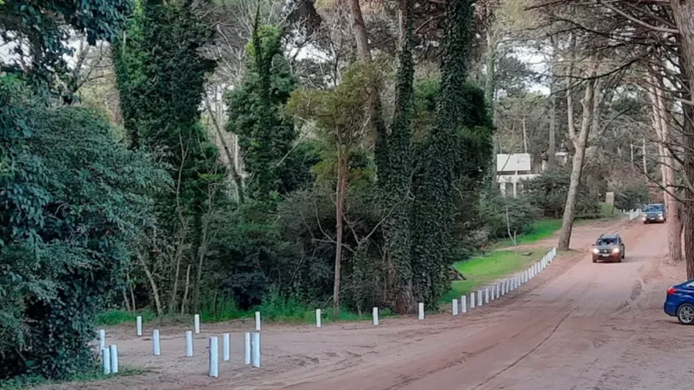 La casa invisible de Cariló Foto A24