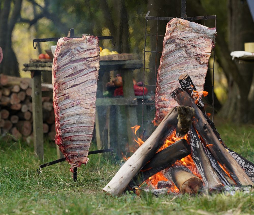 Hay que colocar el costillar de 50 cm a 1 metro de la llama, primero con el hueso mirando hacia la llama. Hay que colocar el costillar de 50 cm a 1 metro de la llama, primero con el hueso mirando hacia la llama.