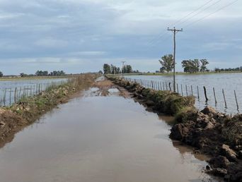Un camino rural bonaerense bajo agua. Un camino rural bonaerense bajo agua.