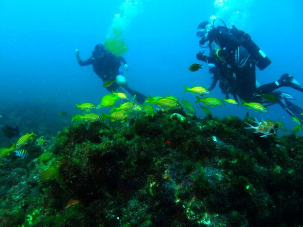 El buceo, una pasióin que crece.
