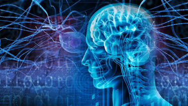 Las convulsiones - movimientos involuntarios del cuerpo - se deben a descargas eléctricas excesivas en un grupo de células cerebrales.