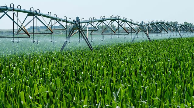 Novedades sobre los agroquímicos.&nbsp;