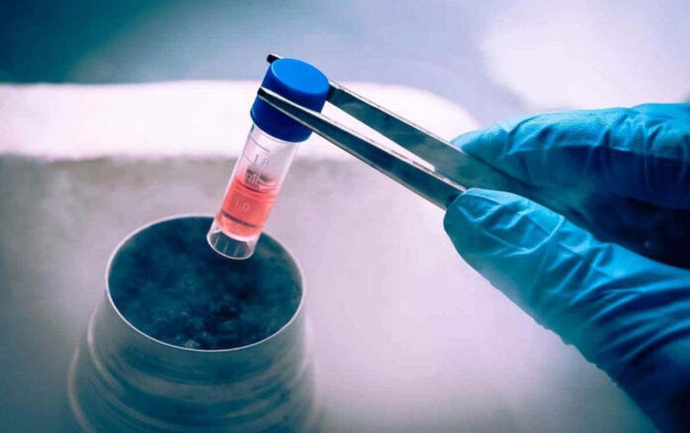 El semen puede ser congelado para el futuro.