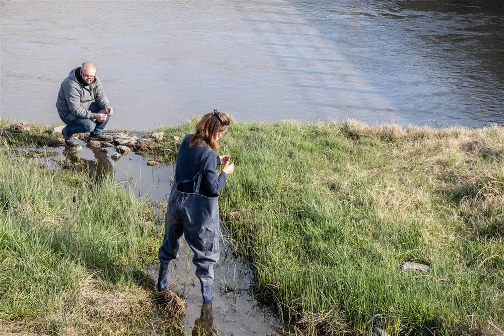 Los controles en una laguna. (Grupo La Verdad)