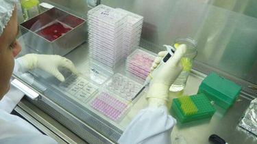 Desde el Ministerio de Salud de la Nación buscan que haya más diagnósticos de laboratorio.