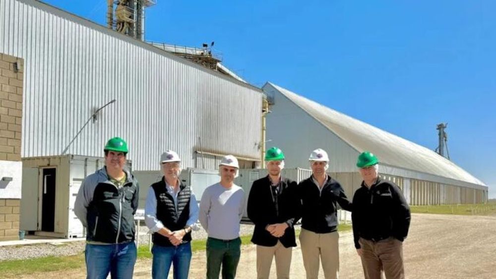 Planta procesadora de maní en Vedia. - El Vediense -