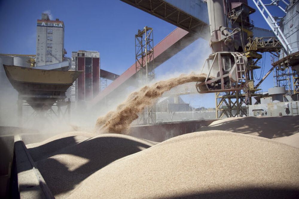 La carga de harina de soja para exportar. (DIB/Archivo)