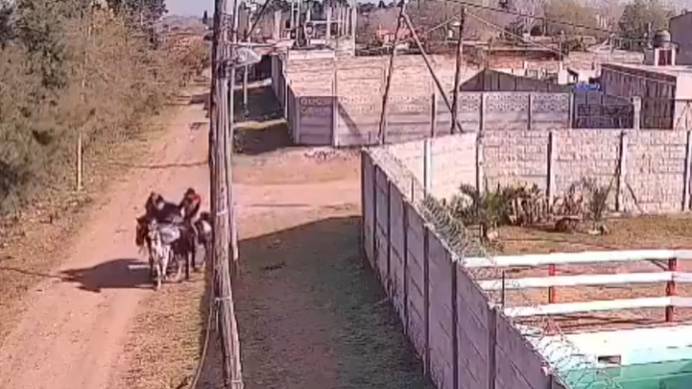 Imagen captada por las cámaras de seguridad de los dos ladrones a caballo, llevando la cabra que habían robado. (datajudicial.com.ar)