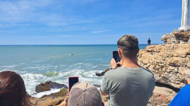 Avistaje de ballenas desde la costa marplatense. (Gentileza Agustina Mandiola)