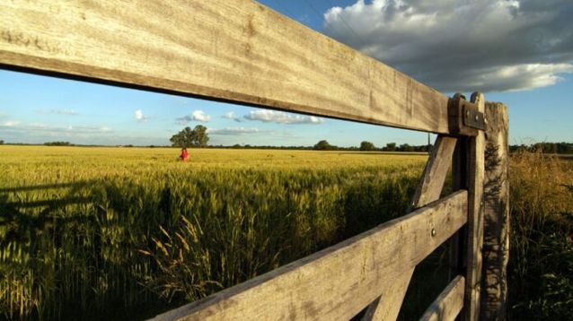 Una entrada a un campo.