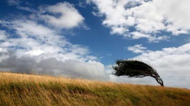 El oeste bonaerense, de norte a sur, se verá afectado por fuertes vientos del sector norte en las próximas horas.
