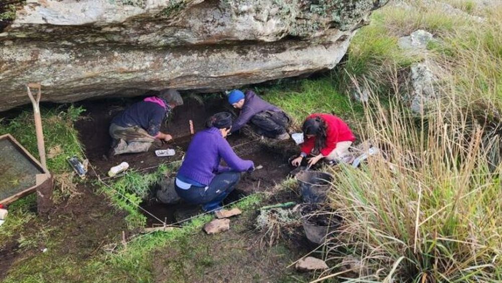 El trabajo de los investigadores en el partido de Lobería. - Ecos Diarios -