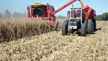 Las empresas vinculadas a la industria oleaginosa y cerealera liquidaron divisas por US$ 1.850 millones en enero de 2026, lo que representa un incremento del 82% respecto de diciembre de 2025.&nbsp;