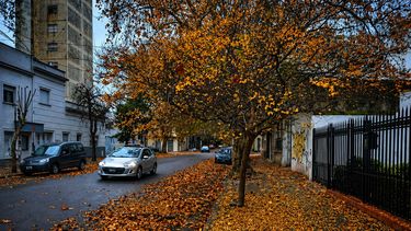 Con el otoño llegan los primeros fríos y las primeras preocupaciones.