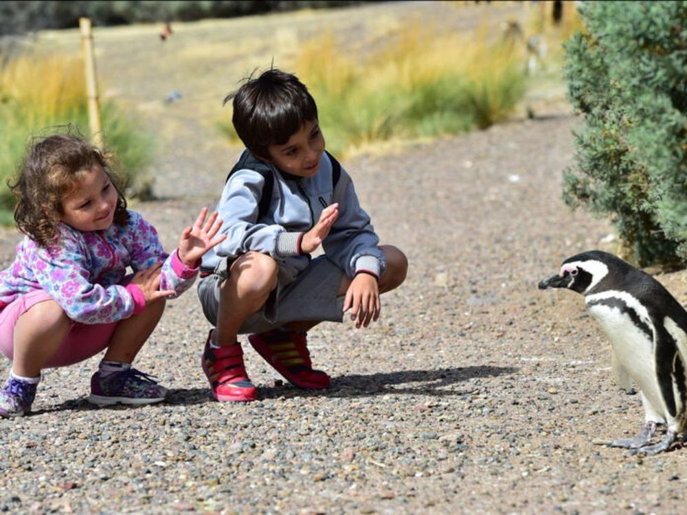 Las bondades de Puerto Madryn.