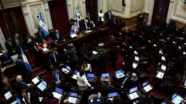 Un pasaje de la sesión en el Senado.&nbsp;