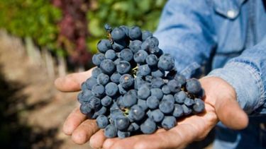 Los impulsores del proyecto destacaron articulación público privada con el sector académico y científico, como modelo de trabajo.