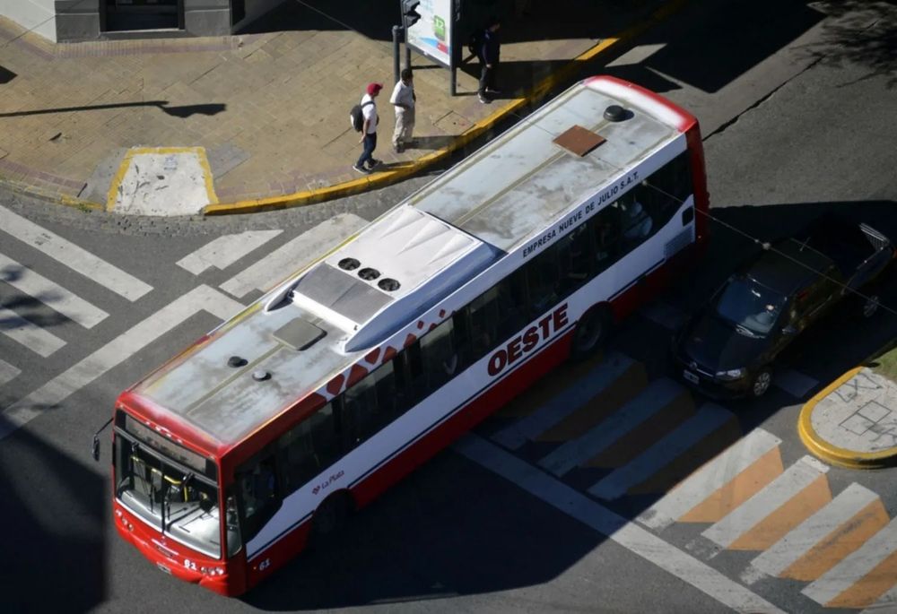 WhatsApp Image 2026-01-15 at 19.11.44