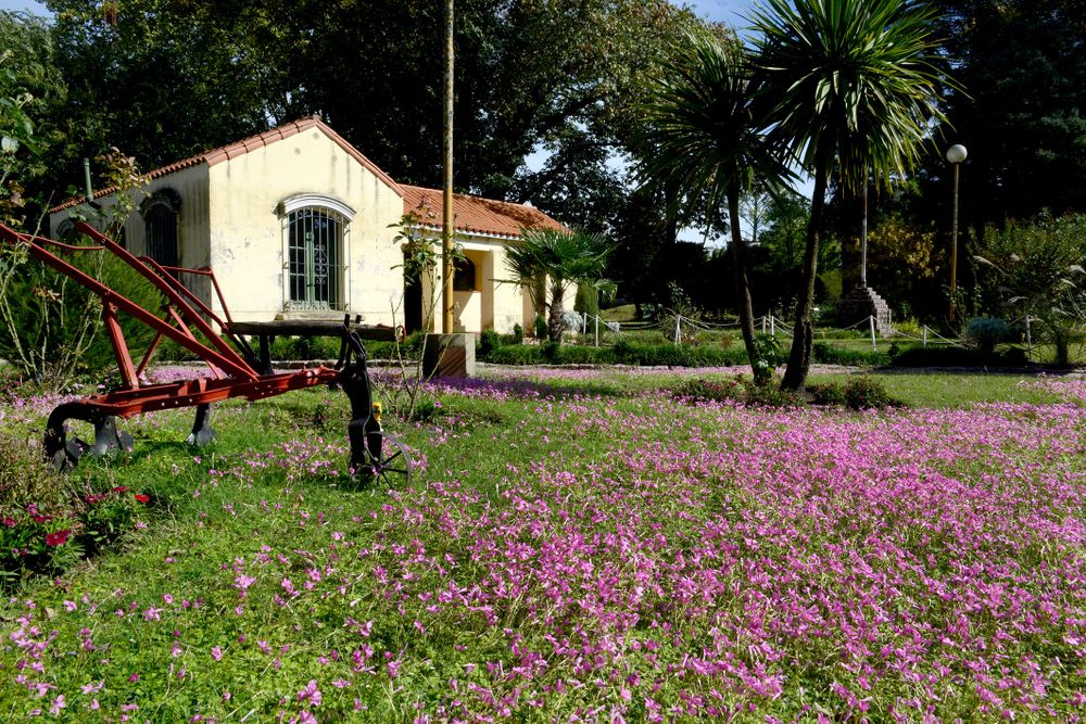 Cazón y su Vivero Municipal de unas 210 hectáreas.