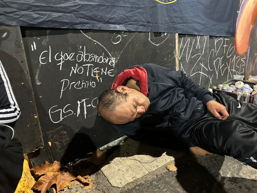 Muchos fanáticos pasaron la noche durmiendo en el Parque. Muchos fanáticos pasaron la noche durmiendo en el Parque.