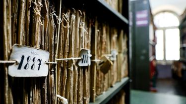 llega la primera feria del libro y la cultura indigena: toda la programacion y actividades