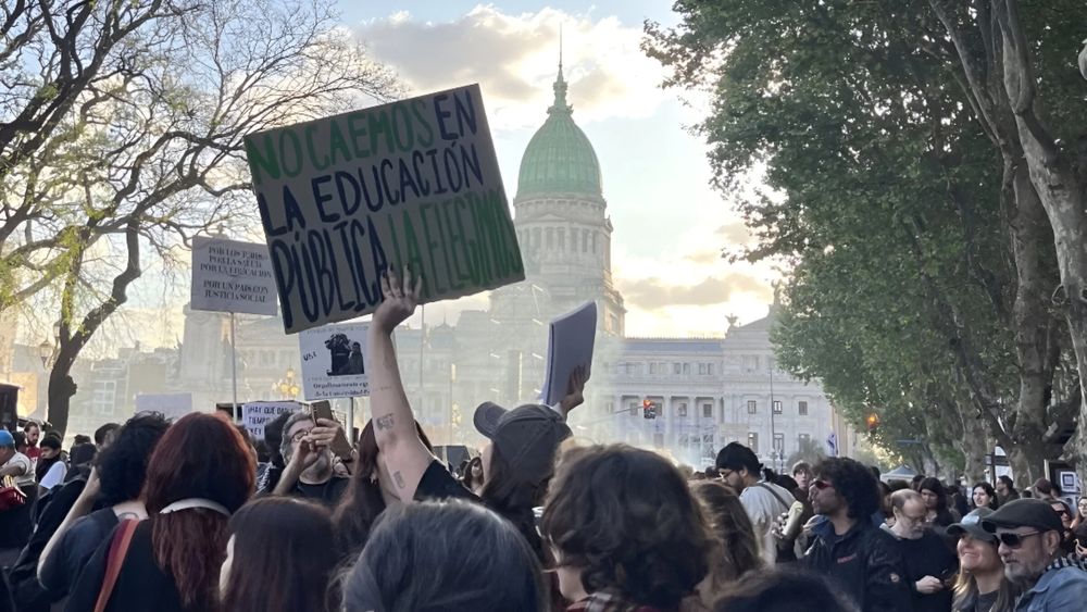 Una marcha universitaria.&nbsp;