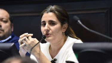 Maricel Etchecoin, diputada de la CC. (Archivo)