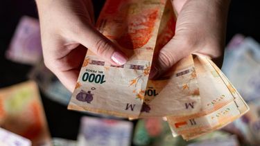 Una persona con pesos argentinos en sus manos.&nbsp;