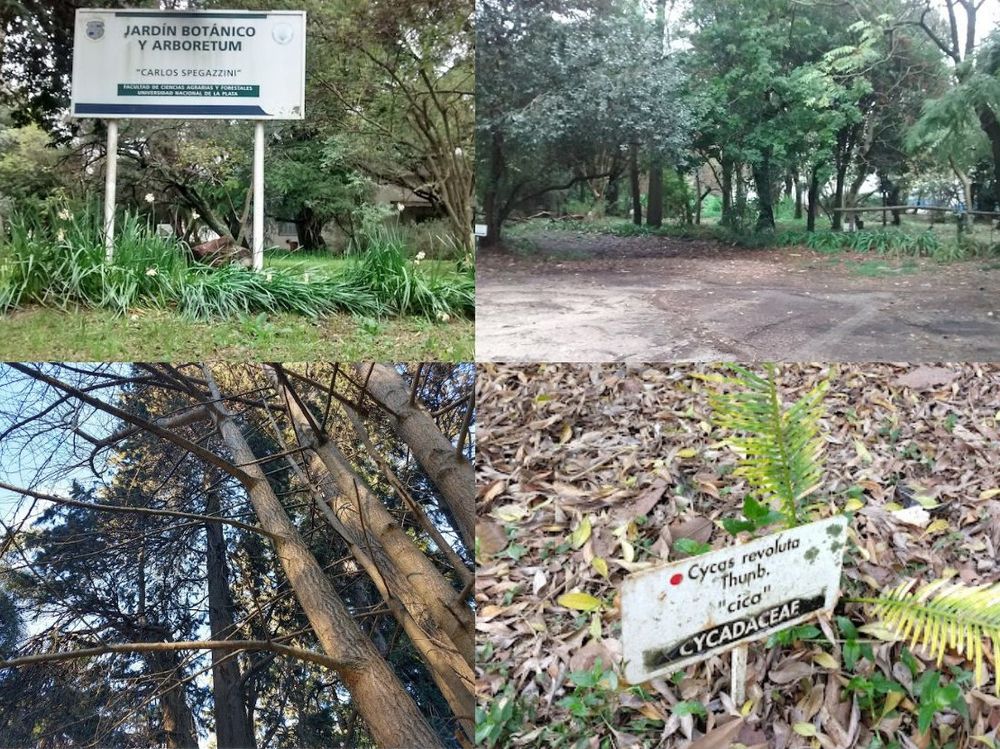 Botanico 2