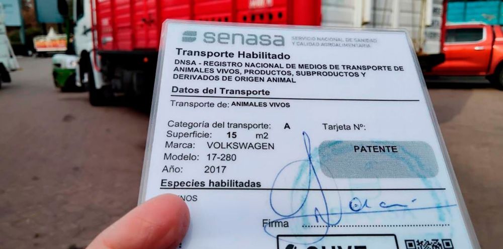 Nueva normativa para el transporte de animales vivos y productos de origen animal del Senasa.