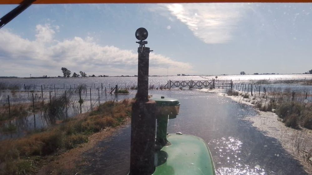 Las inundaciones afectan a miles de hectáreas en la provincia. (Foto: Patricia Gorza)
