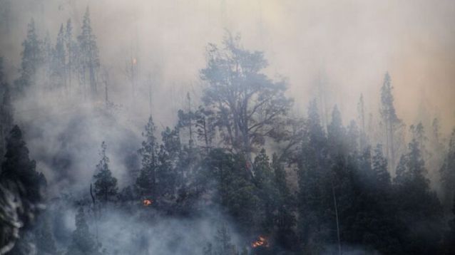 incendio forestal