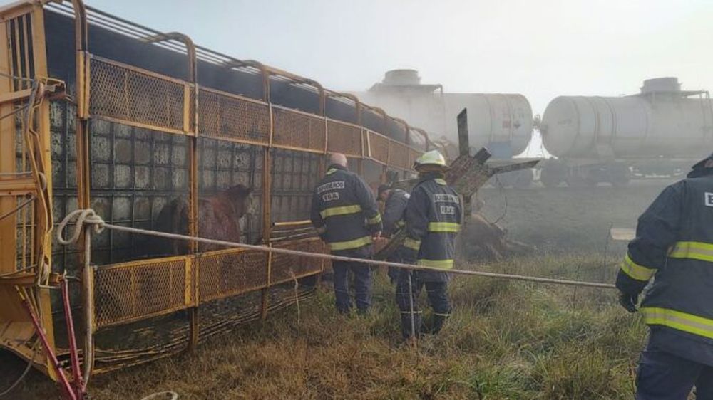 El camión de hacienda terminó volcando. (El Tiempo de Azul)