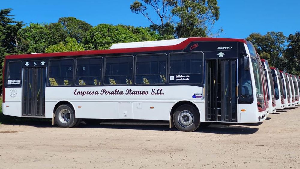 El Ministerio de Transporte redefinió la distribución del régimen transitorio de subsidios destinado a las empresas de transporte automotor. El Ministerio de Transporte redefinió la distribución del régimen transitorio de subsidios destinado a las empresas de transporte automotor.