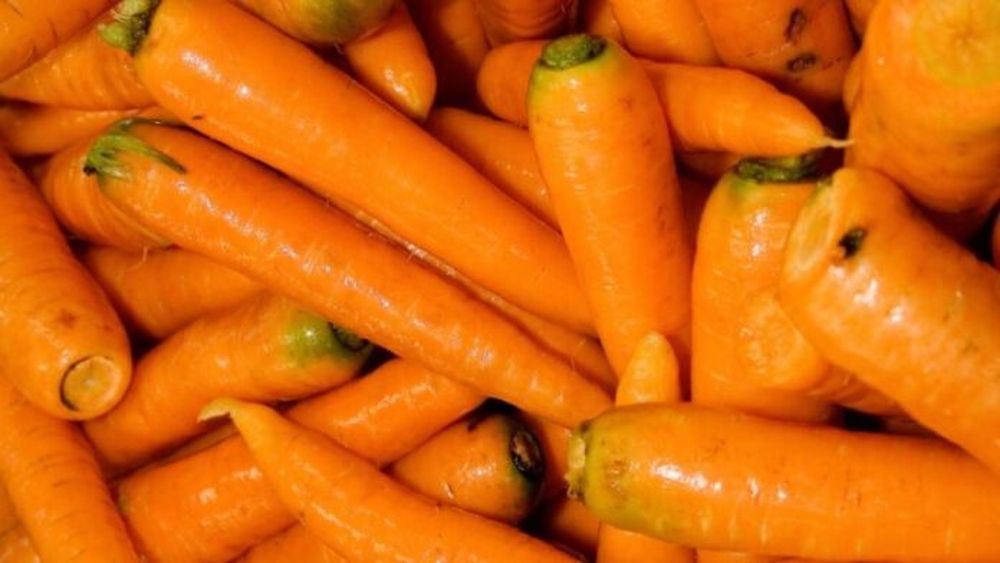 El Senasa aprobó una nueva reglamentación que actualiza los requisitos para la producción, empaque y transporte de hortalizas frescas. - Senasa -