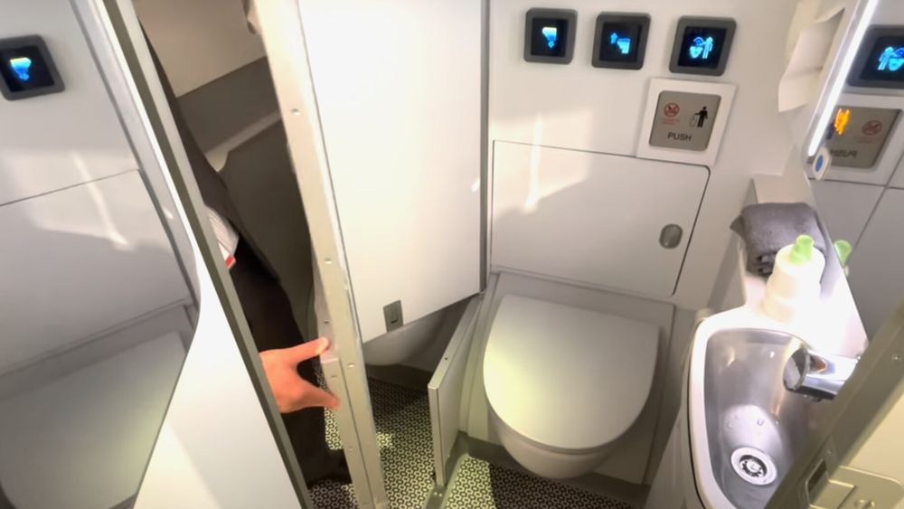 Un gesto cotidiano en pleno vuelo: lo que se descarta en los baños de los aviones permitió a la ciencia detectar superbacterias resistentes