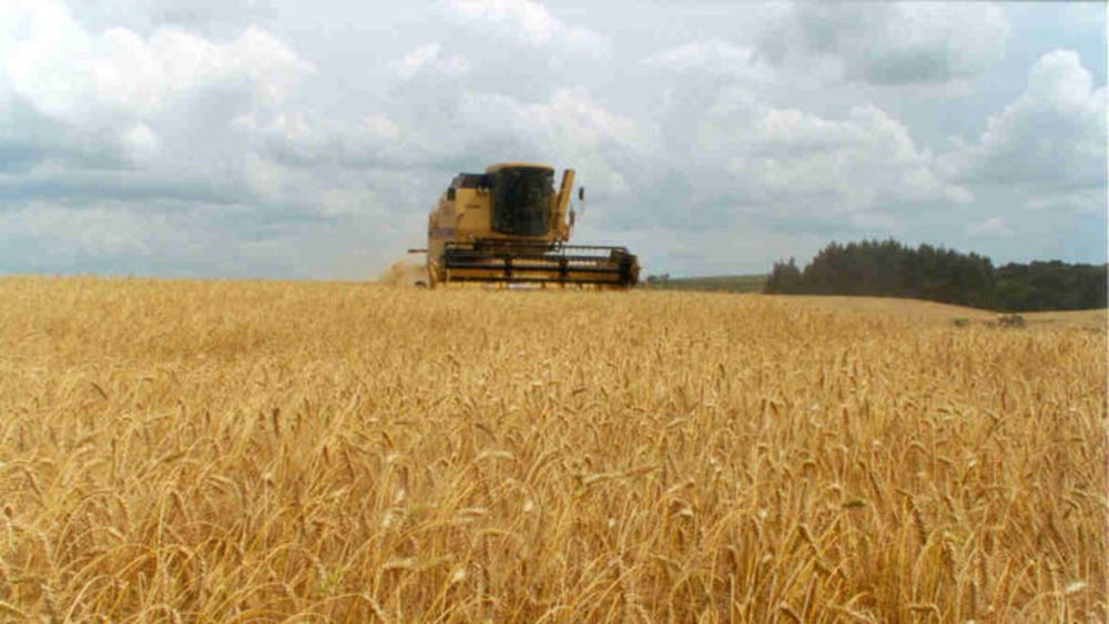 Los productores de la Mesa Agropecuaria Bonaerense no escatiman críticas contra el aumento del impuesto Inmobiliario.