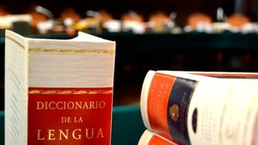 La RAE y el uso de la lengua castellana.