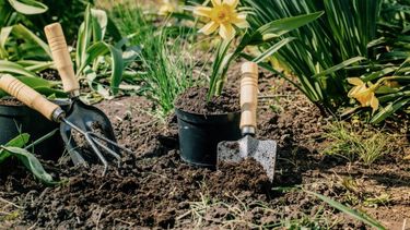 Los ferilizantes en la mira.