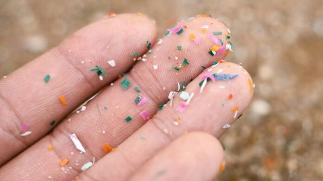 Cada vez más estudios advierten sobre el crecimiento de estos estas micropartículas en el cuerpo humano y ahora una investigación alerta también por su presencia en el cerebro.