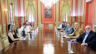 El gobernador, Axel Kicillof, recibió a representantes del sector farmacéutico para analizar el impacto de DNU 70/23.