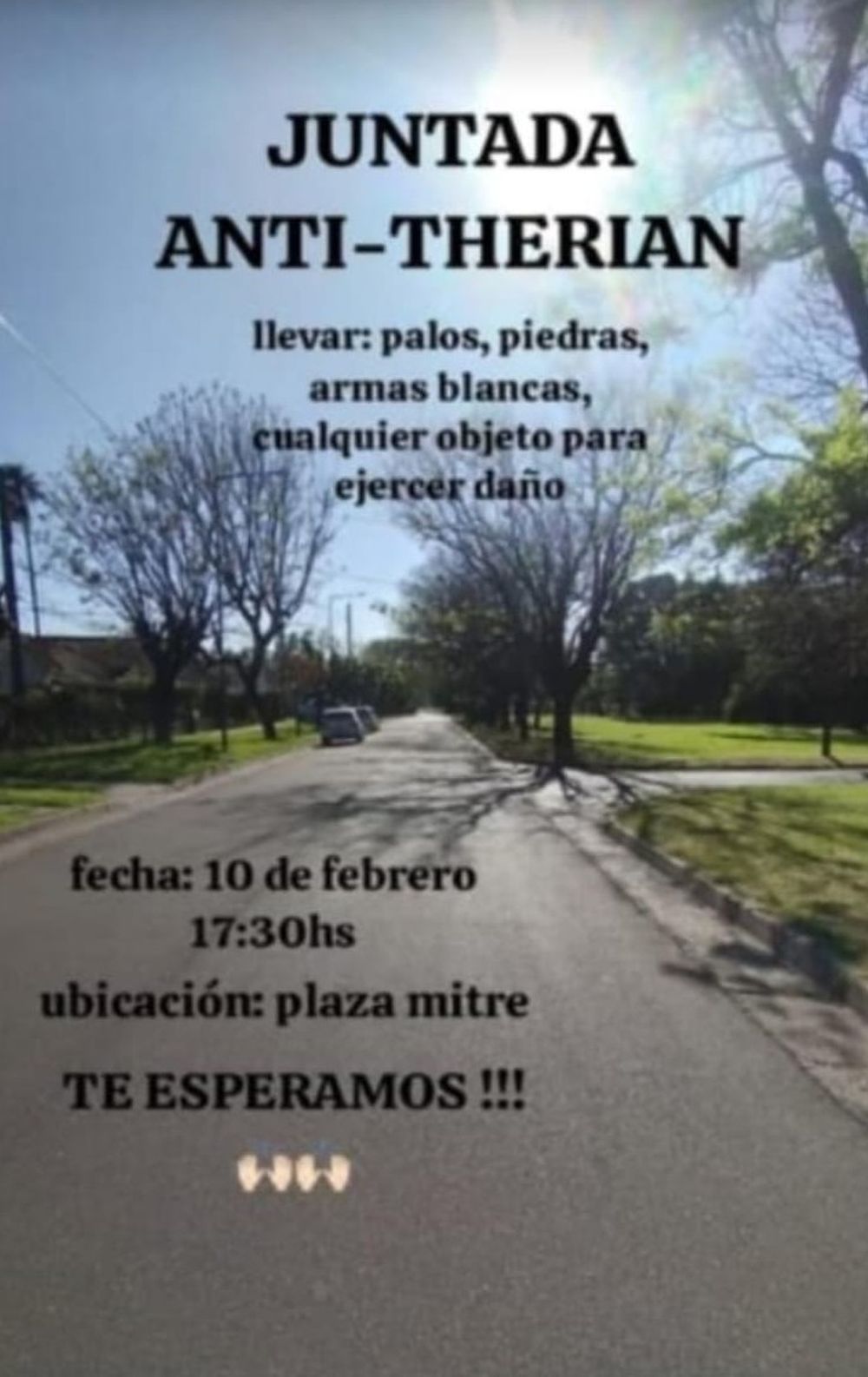 El flyer 
