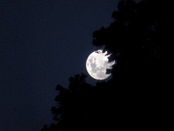 La luna llena de diciembre es la tercera de cuatro superlunas consecutivas. (Agencia DIB/Marcelo Metayer) La luna llena de diciembre es la tercera de cuatro superlunas consecutivas. (Agencia DIB/Marcelo Metayer)