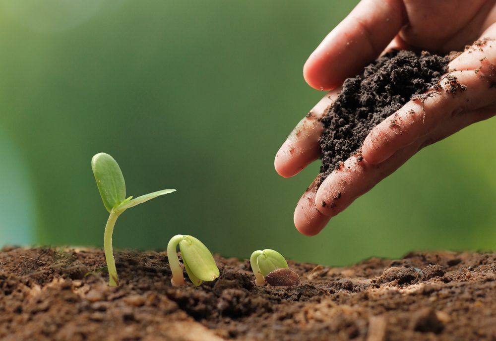 agroecología