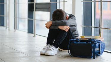 La violencia que se da en ámbitos escolares es un fenómeno complejo, vinculado a determinantes sociales y culturales.&nbsp;