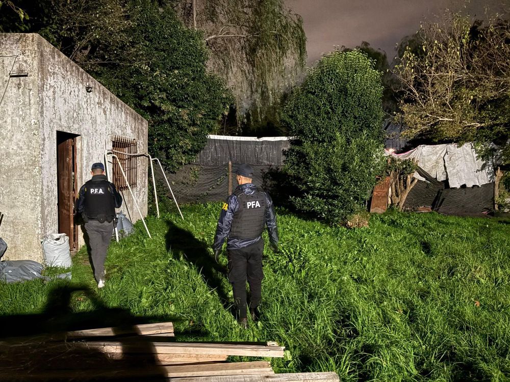 La Policía Federal Argentina incautó una mega plantación de marihuana en Glew.&nbsp;