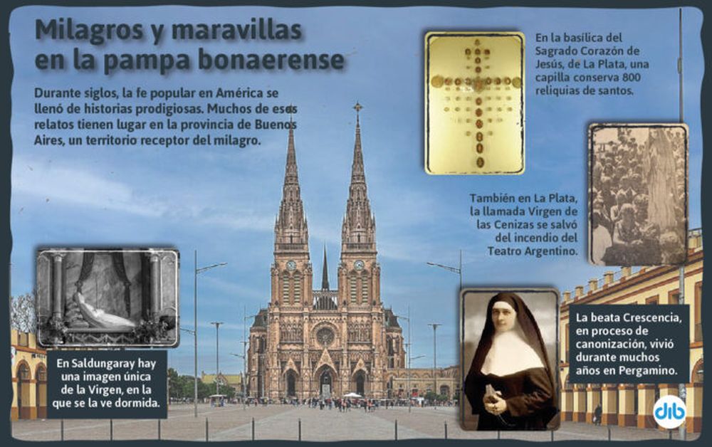 Infografía: DIB
